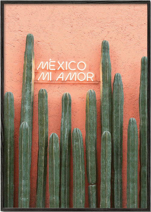 Botanisk plakat Mexico kaktus med neonlys