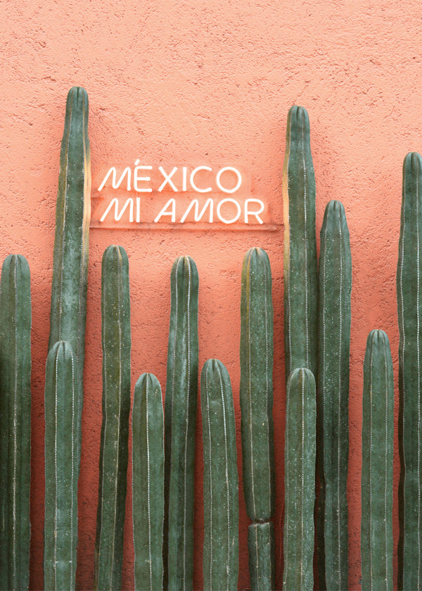 Botanisk plakat Mexico kaktus med neonlys