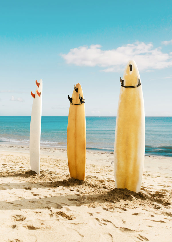 Surfbrætter på solrig strand