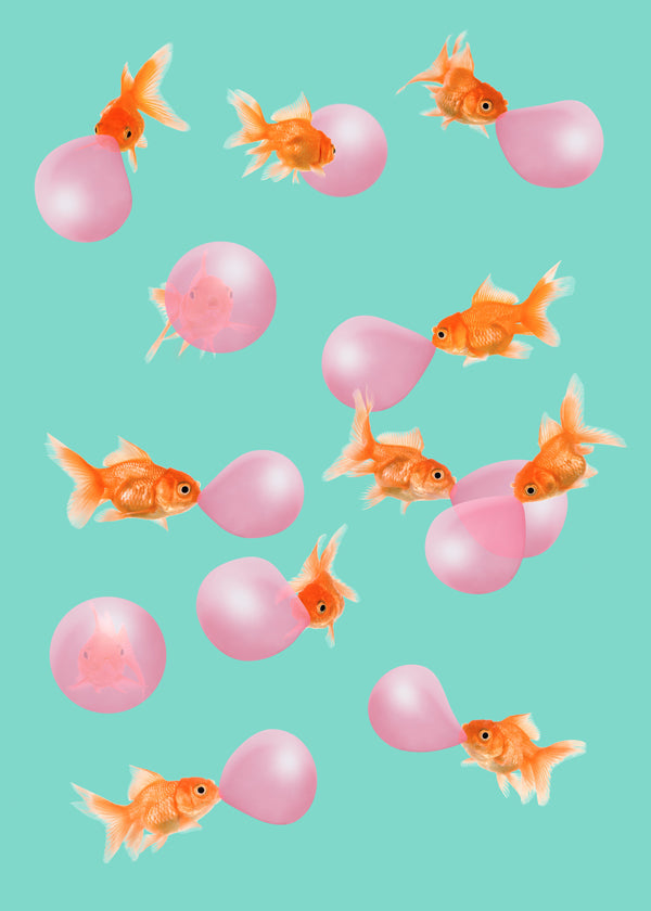 Plakat guldfisk med pink bobler