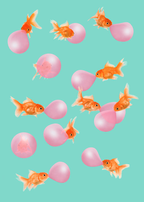 Plakat guldfisk med pink bobler