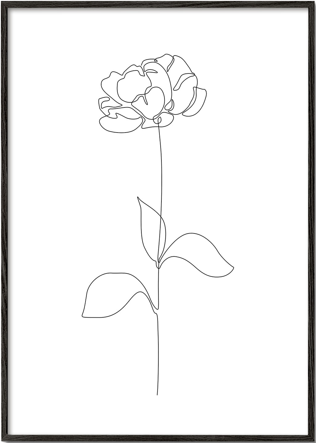 Botanisk plakat: Peony i éntreksstreg