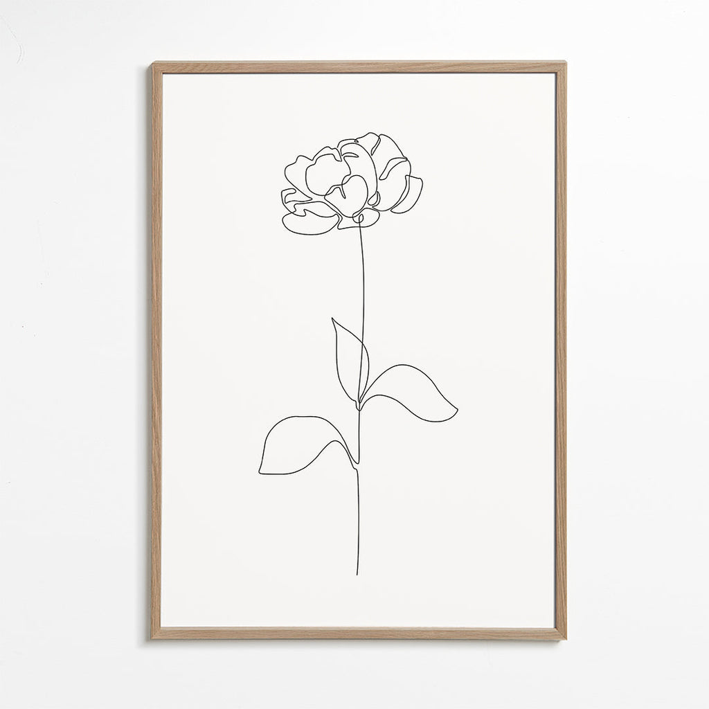 Botanisk plakat: Peony i éntreksstreg