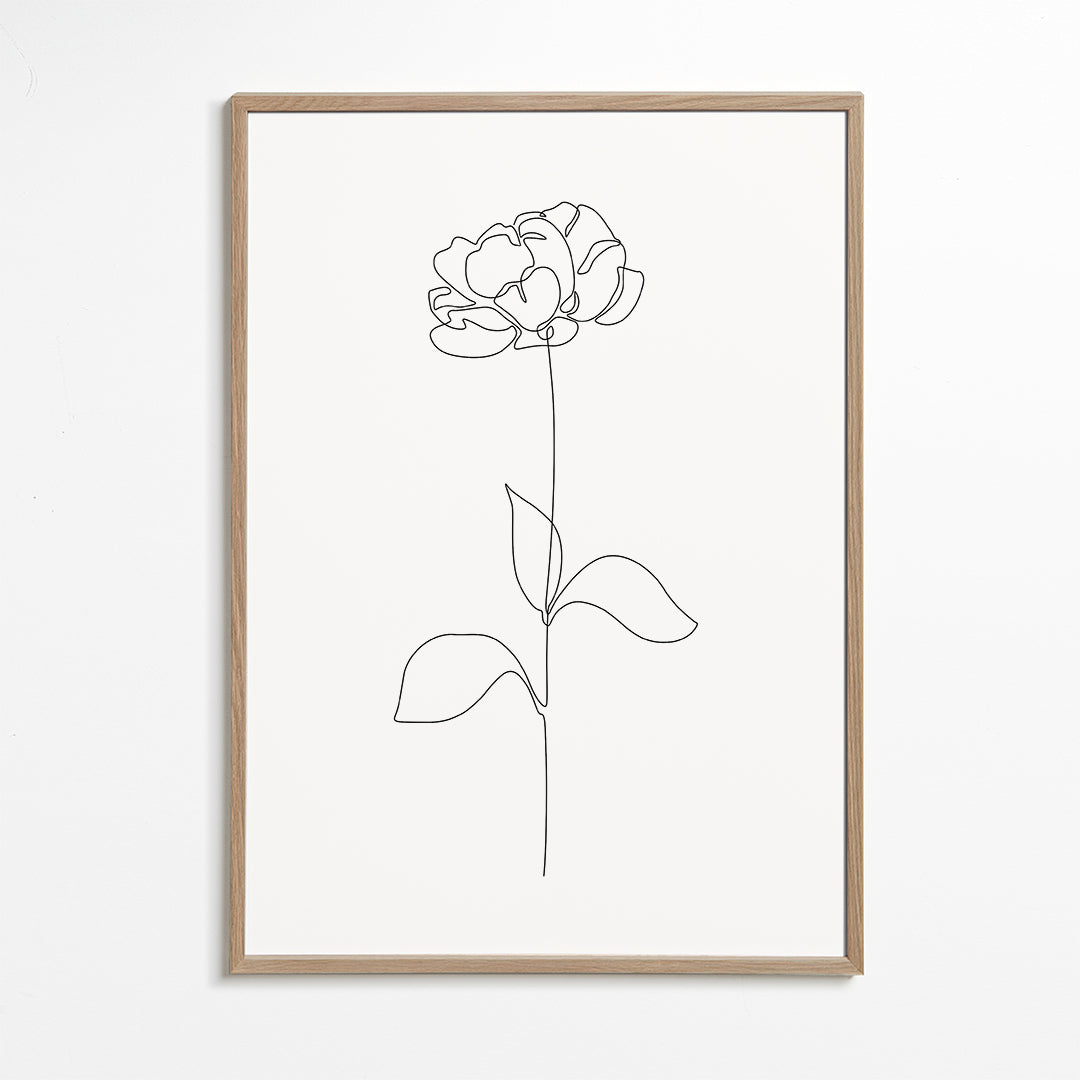 Botanisk plakat: Peony i éntreksstreg