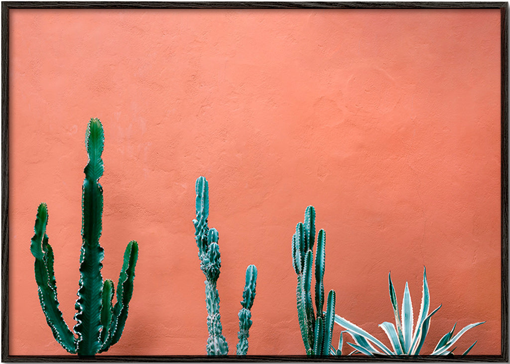 Botanisk plakat med kaktus på terracottavæg – Black Frame