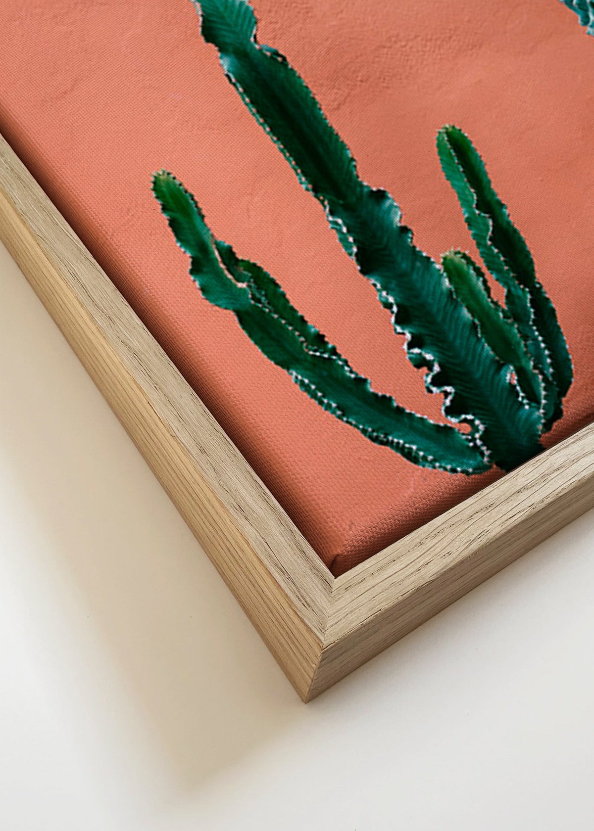 Botanisk plakat med kaktus på terracottavæg – Canvas detail