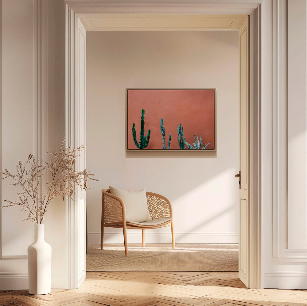Botanisk plakat med kaktus på terracottavæg – Canvas1