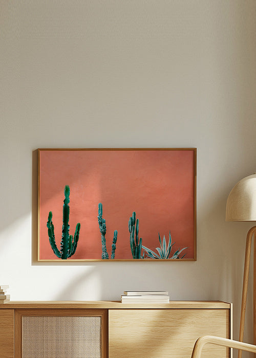 Botanisk plakat med kaktus på terracottavæg – Product1
