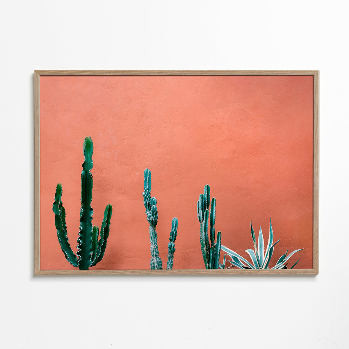 Botanisk plakat med kaktus på terracottavæg – Oak Frame