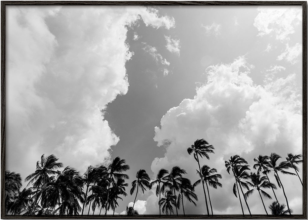 Landskabskunst med palmer og dramatisk himmel – Black Frame