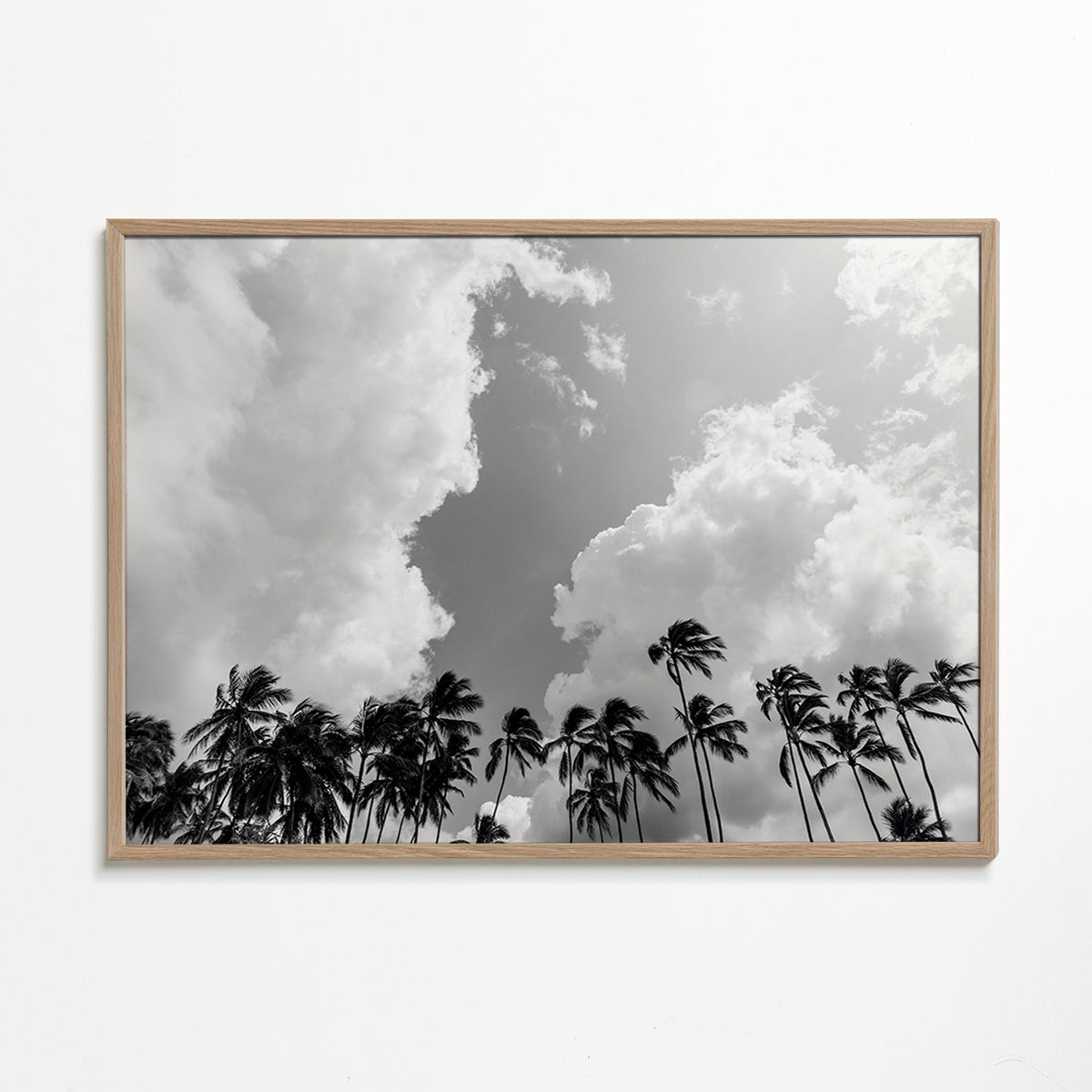Landskabskunst med palmer og dramatisk himmel – Oak Frame