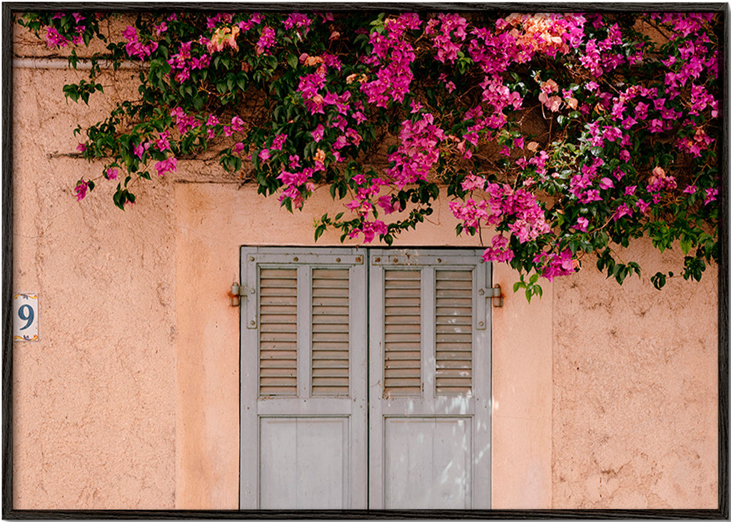 Botanisk plakat med bougainvillea over gammel dør – Black Frame