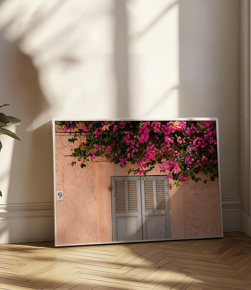 Botanisk plakat med bougainvillea over gammel dør – Product2