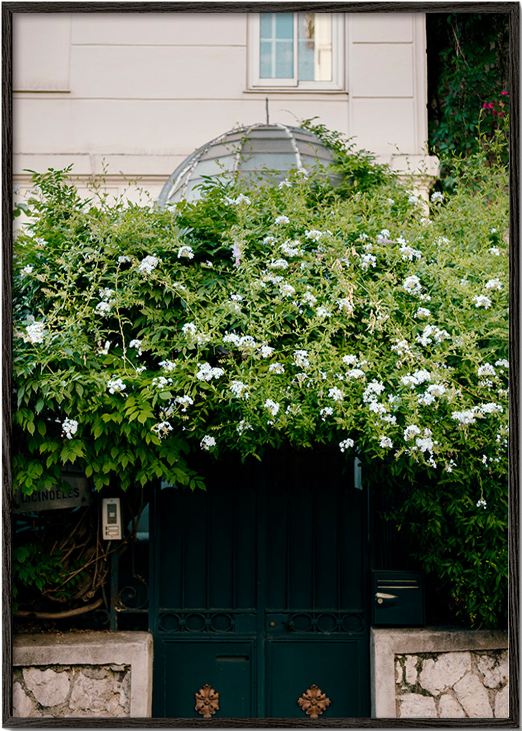 Botanisk plakat med hvid slyngplante ved port – Black Frame