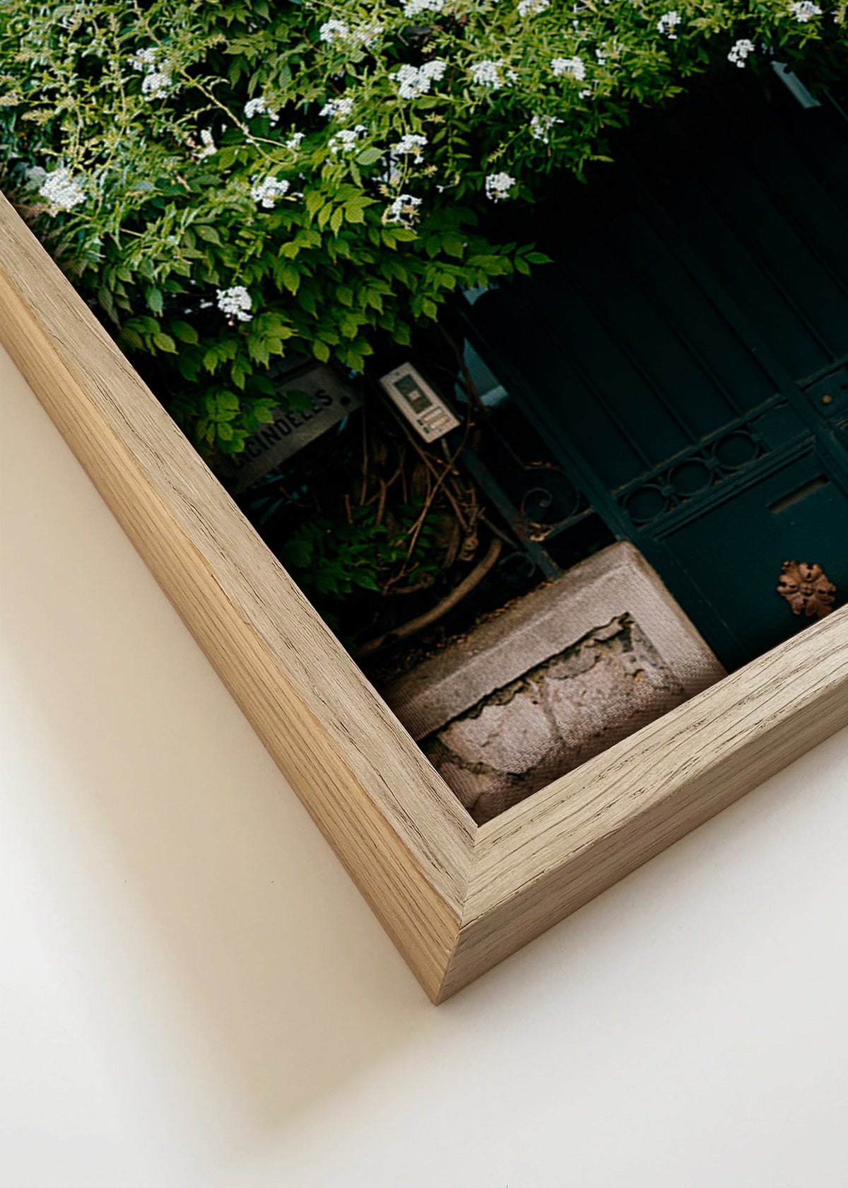 Botanisk plakat med hvid slyngplante ved port – Canvas detail