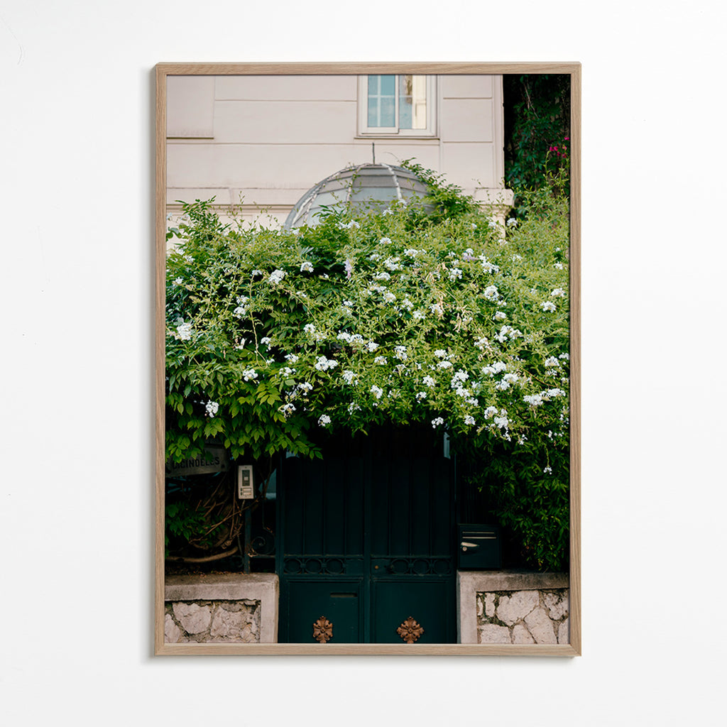 Botanisk plakat med hvid slyngplante ved port – Oak Frame