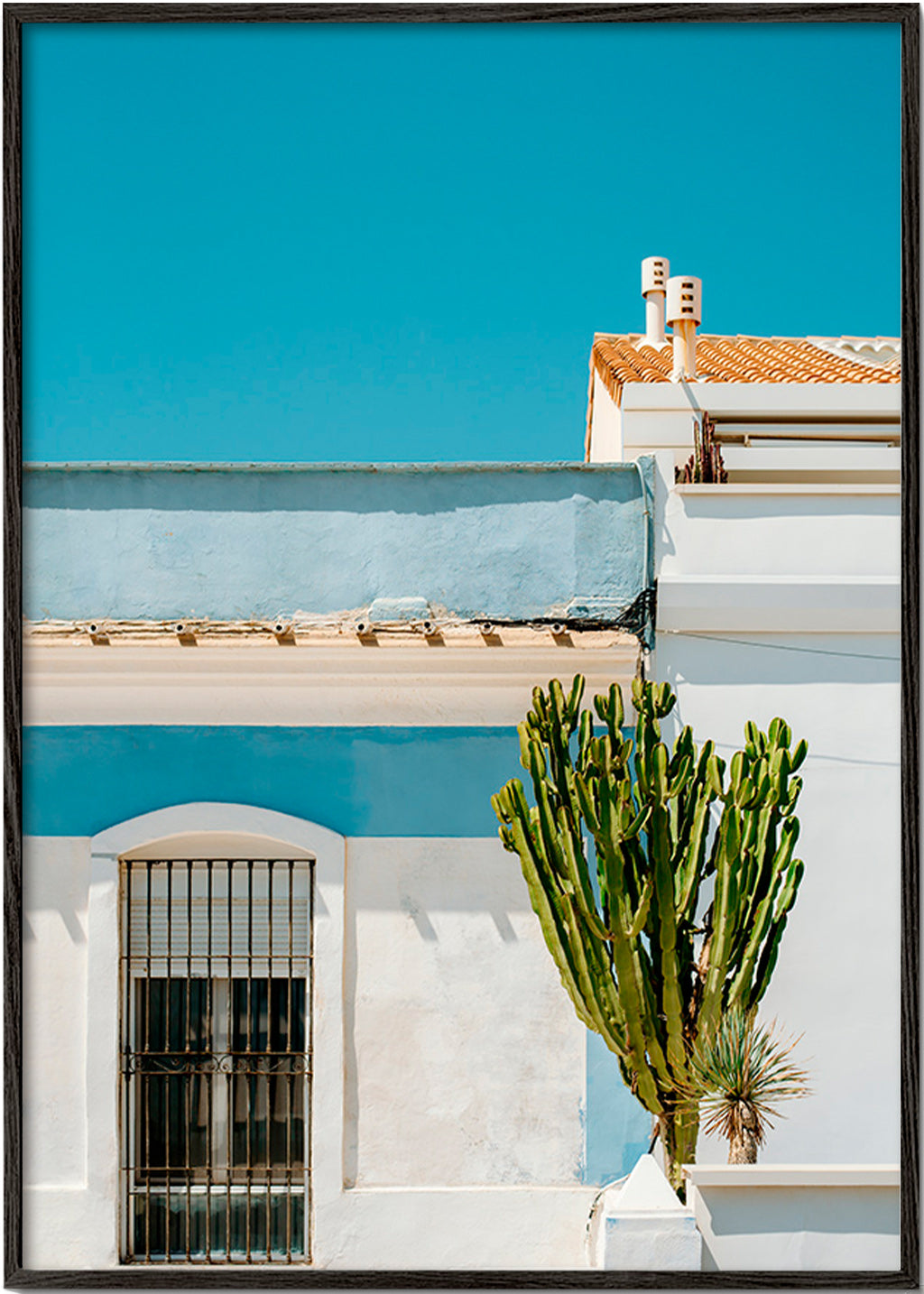 Botanisk plakat: middelhavsfacade med kaktus – Black Frame