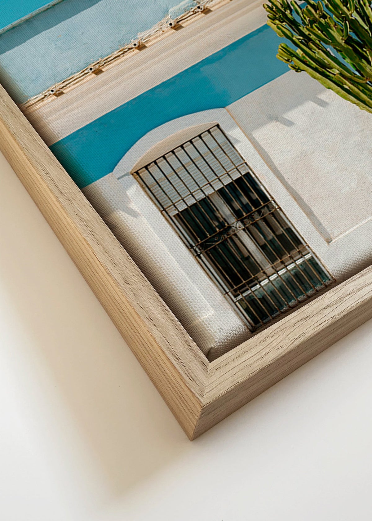 Botanisk plakat: middelhavsfacade med kaktus – Canvas detail