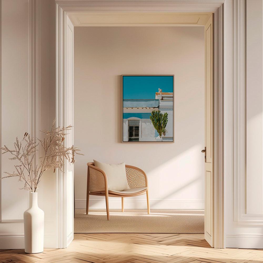 Botanisk plakat: middelhavsfacade med kaktus – Canvas2