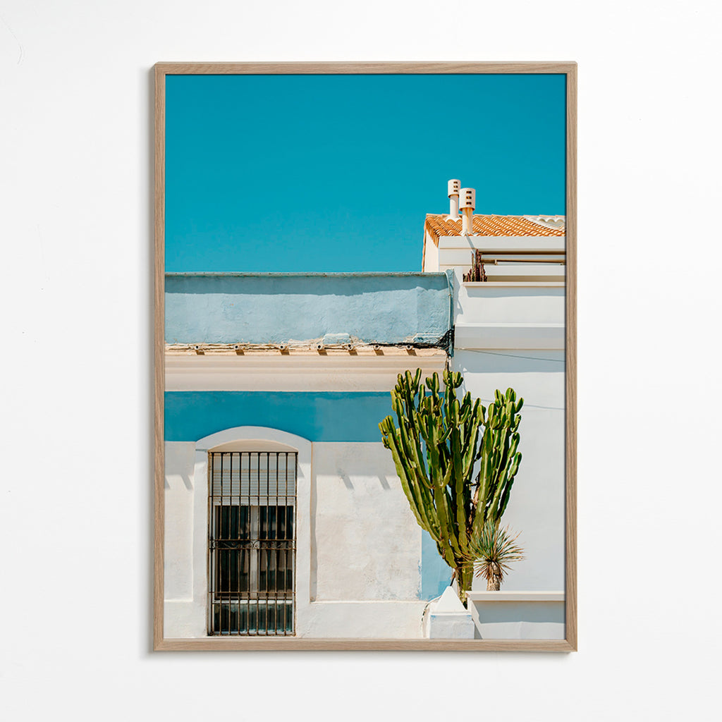 Botanisk plakat: middelhavsfacade med kaktus – Oak Frame