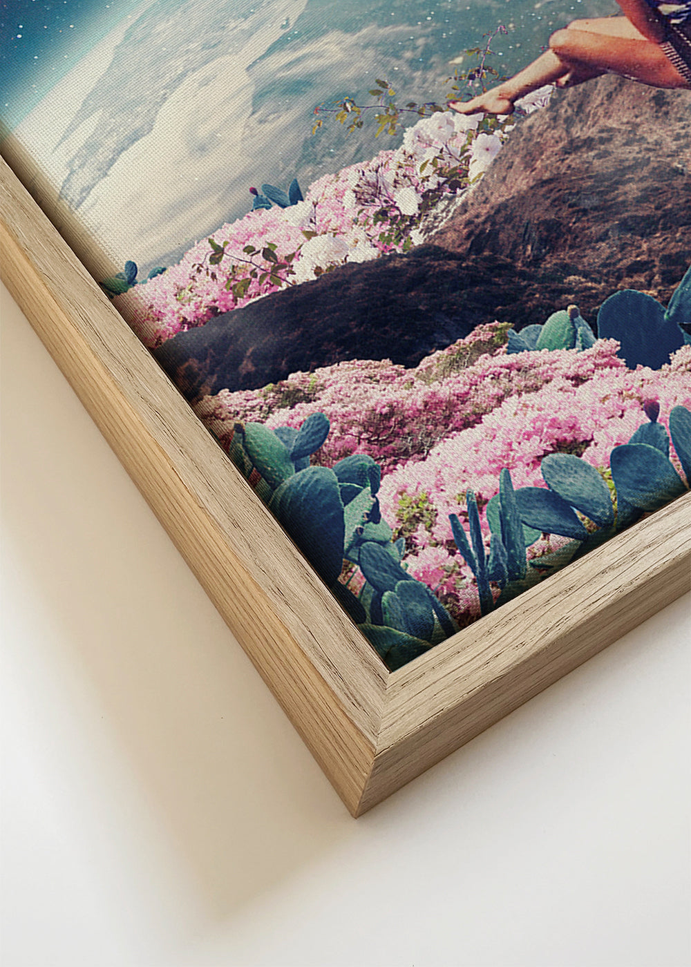 Botanisk plakat med rejsende og planet