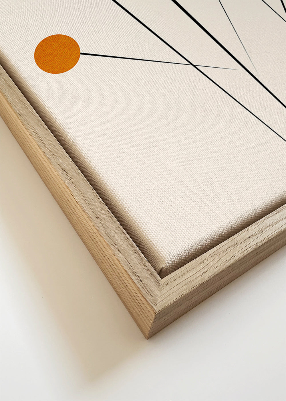 Botanisk plakat med orange cirkler