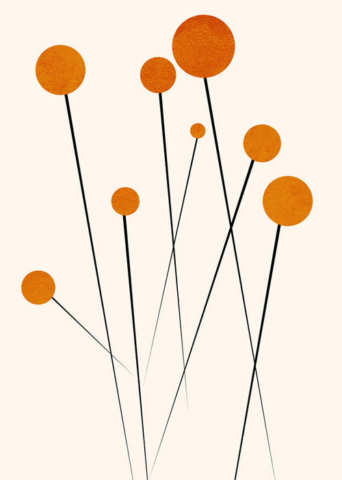 Botanisk plakat med orange cirkler