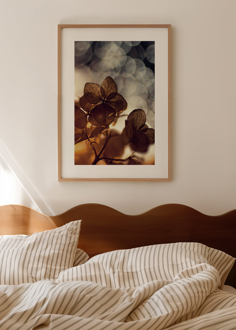 Botanisk plakat: tørrede blomster i blødt bokeh