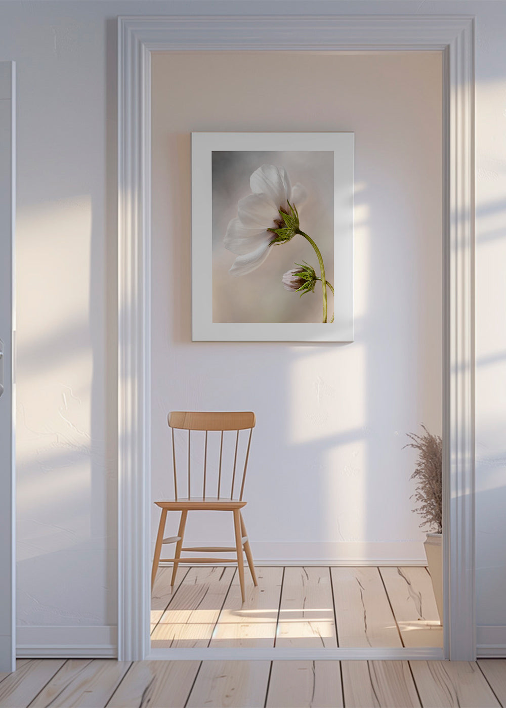Botanisk plakat: hvid blomst på buet stilk
