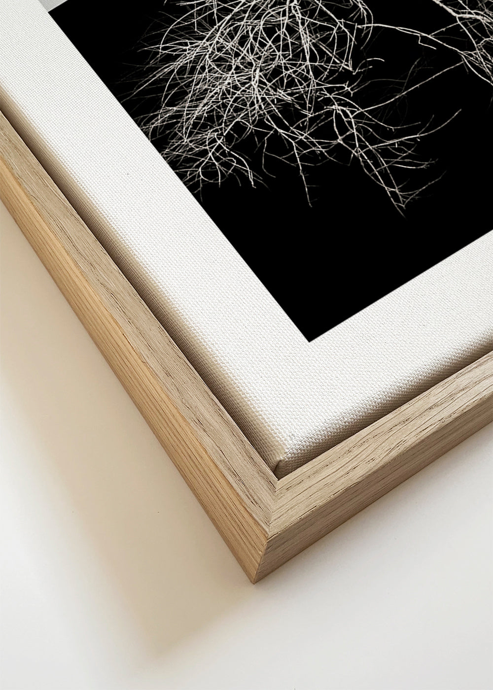 Botanisk plakat med træ og grafiske rødder