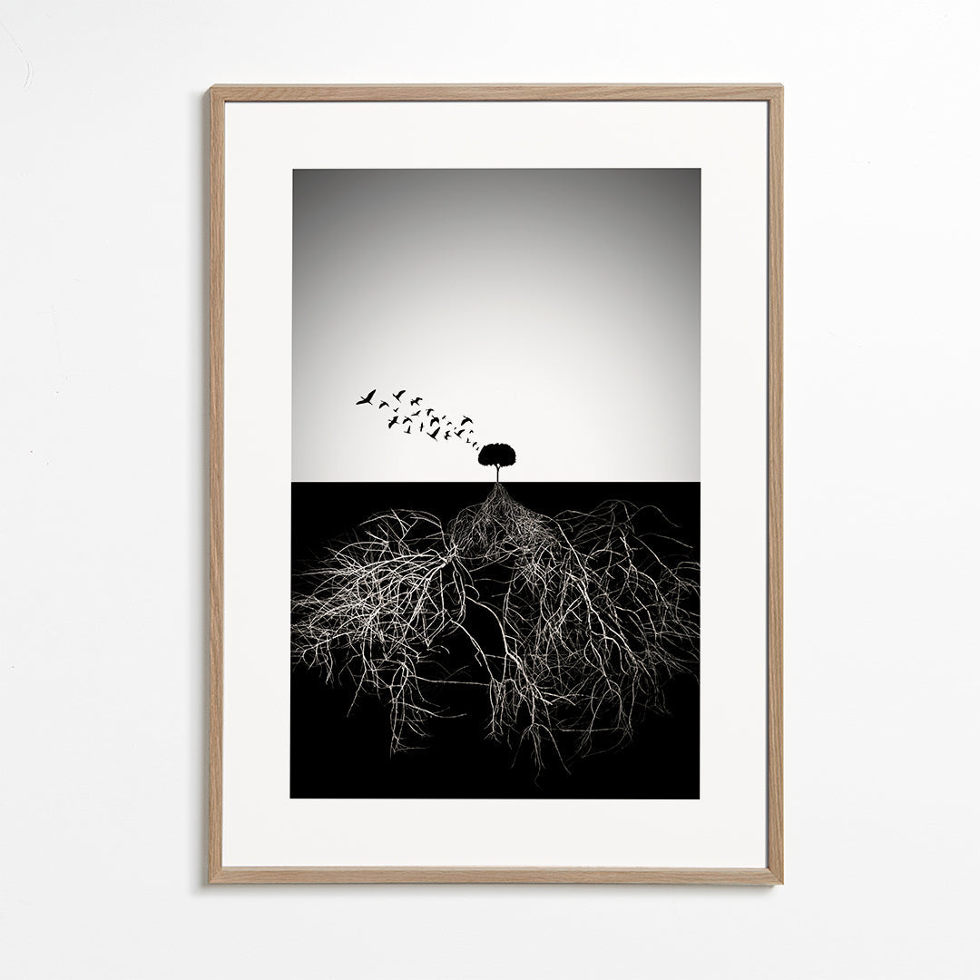 Botanisk plakat med træ og grafiske rødder