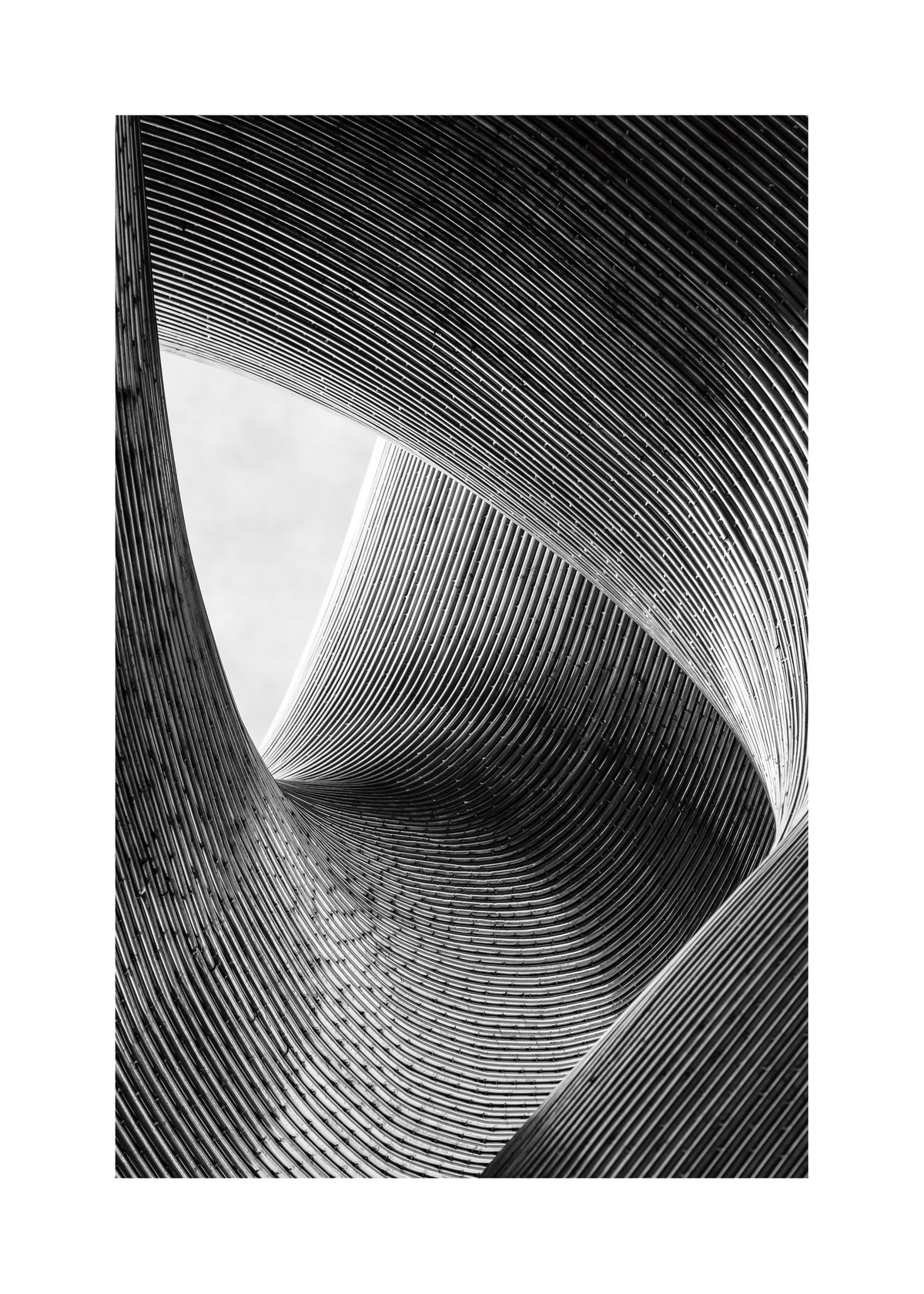 lines - Unframed art print