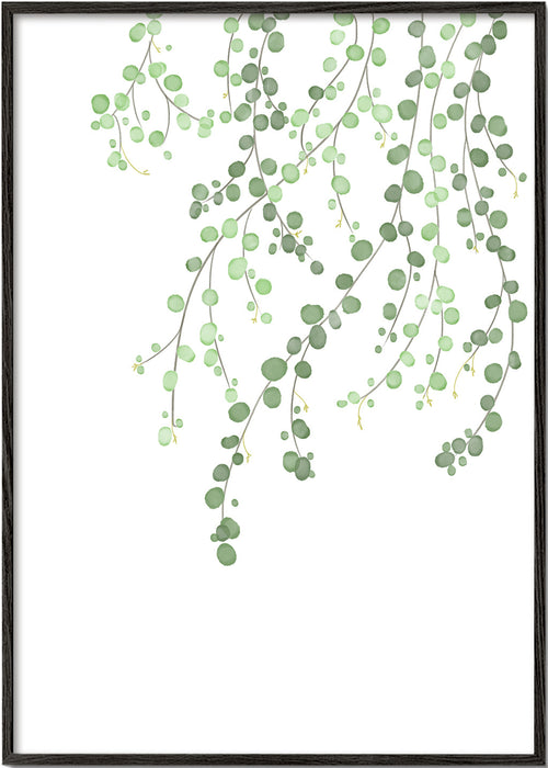 Botanisk plakat hængende grene