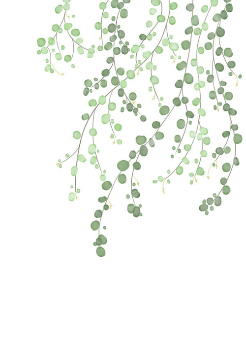 Botanisk plakat hængende grene