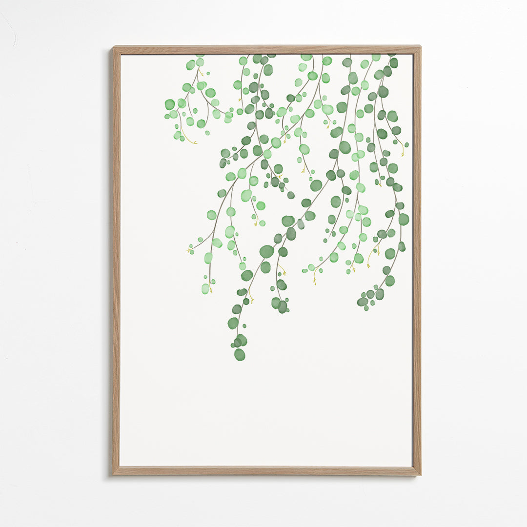 Botanisk plakat hængende grene