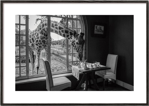 Kunst giraff ved bordet