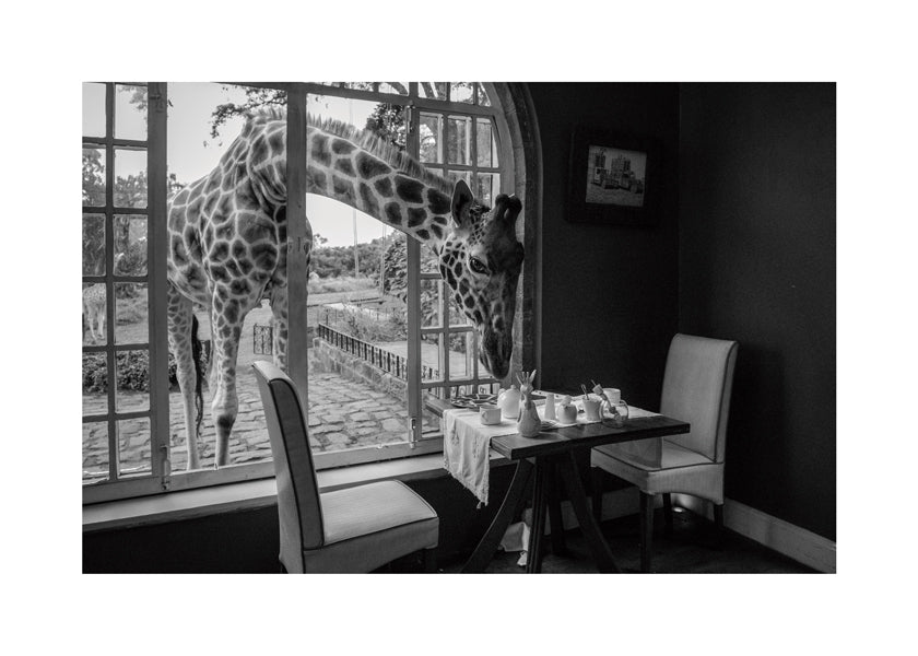 Kunst giraff ved bordet