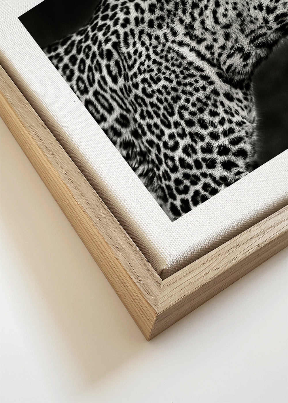 Leopard i profil, fotografisk kunst