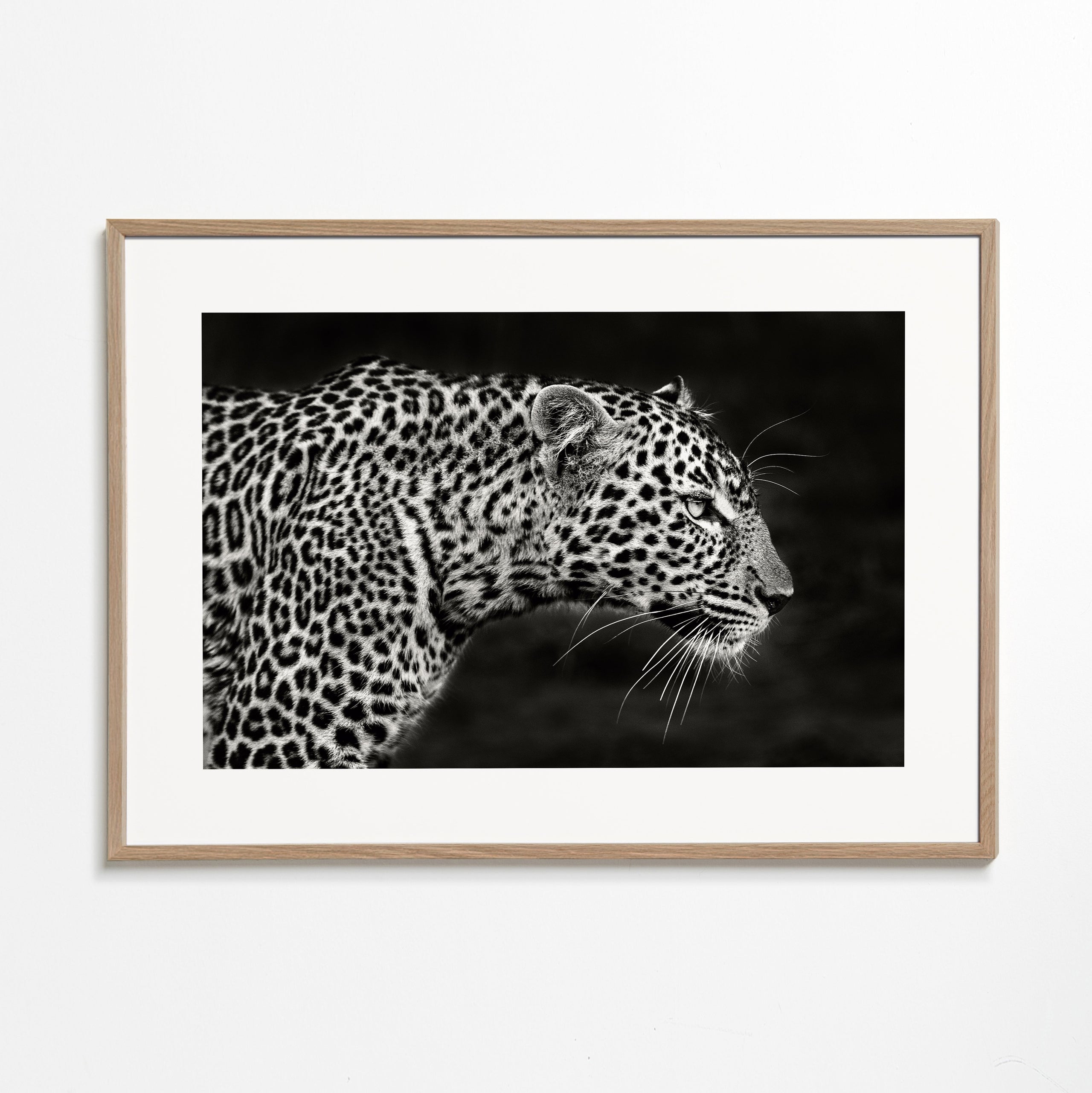 Leopard i profil, fotografisk kunst