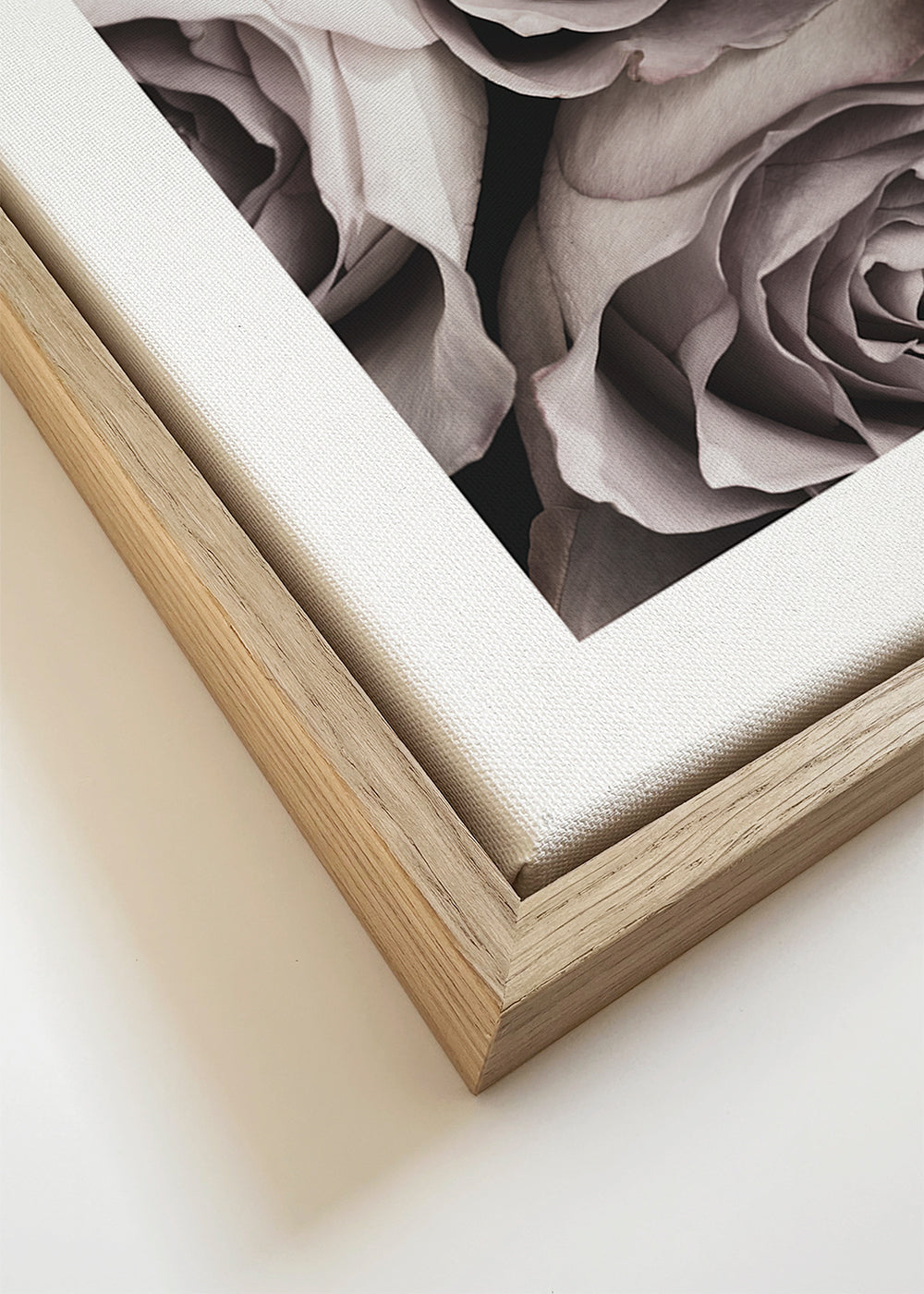 Botanisk plakat blege roser close-up