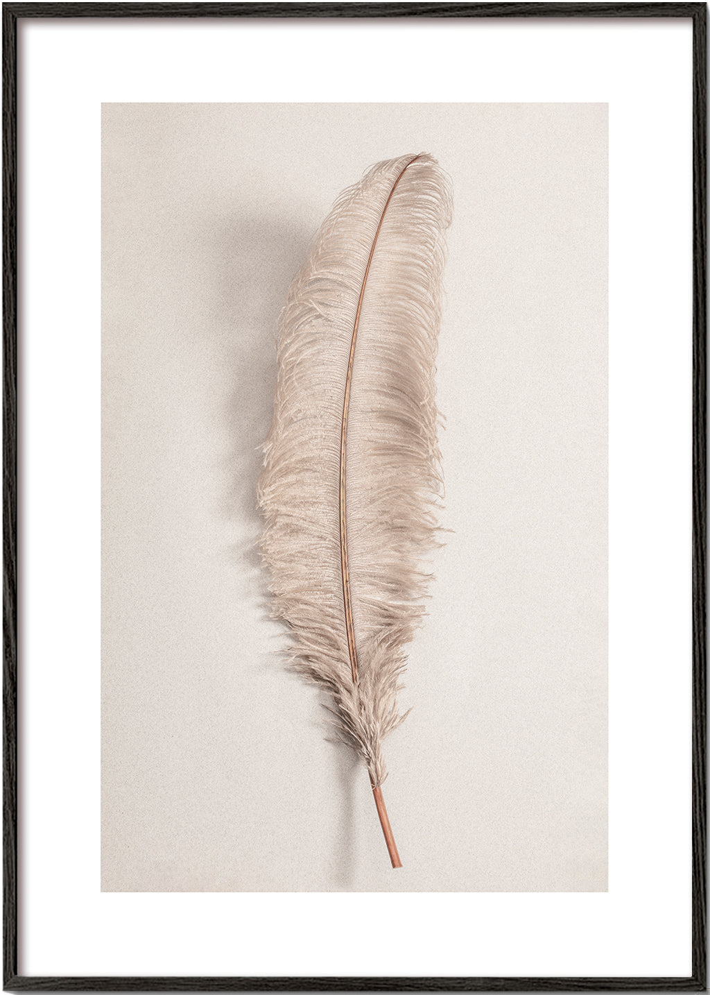 Botanisk plakat: beige fjer