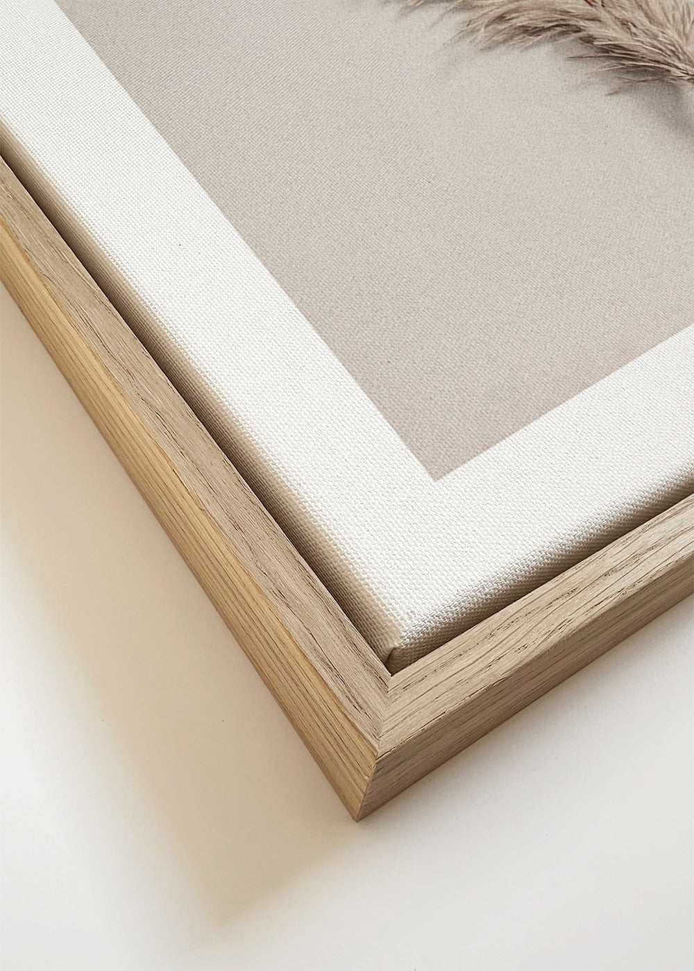 Botanisk plakat: beige fjer