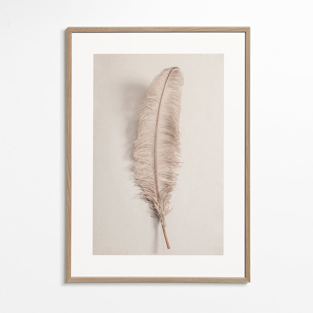 Botanisk plakat: beige fjer
