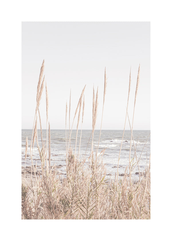 Landskabsplakat med strandgræs