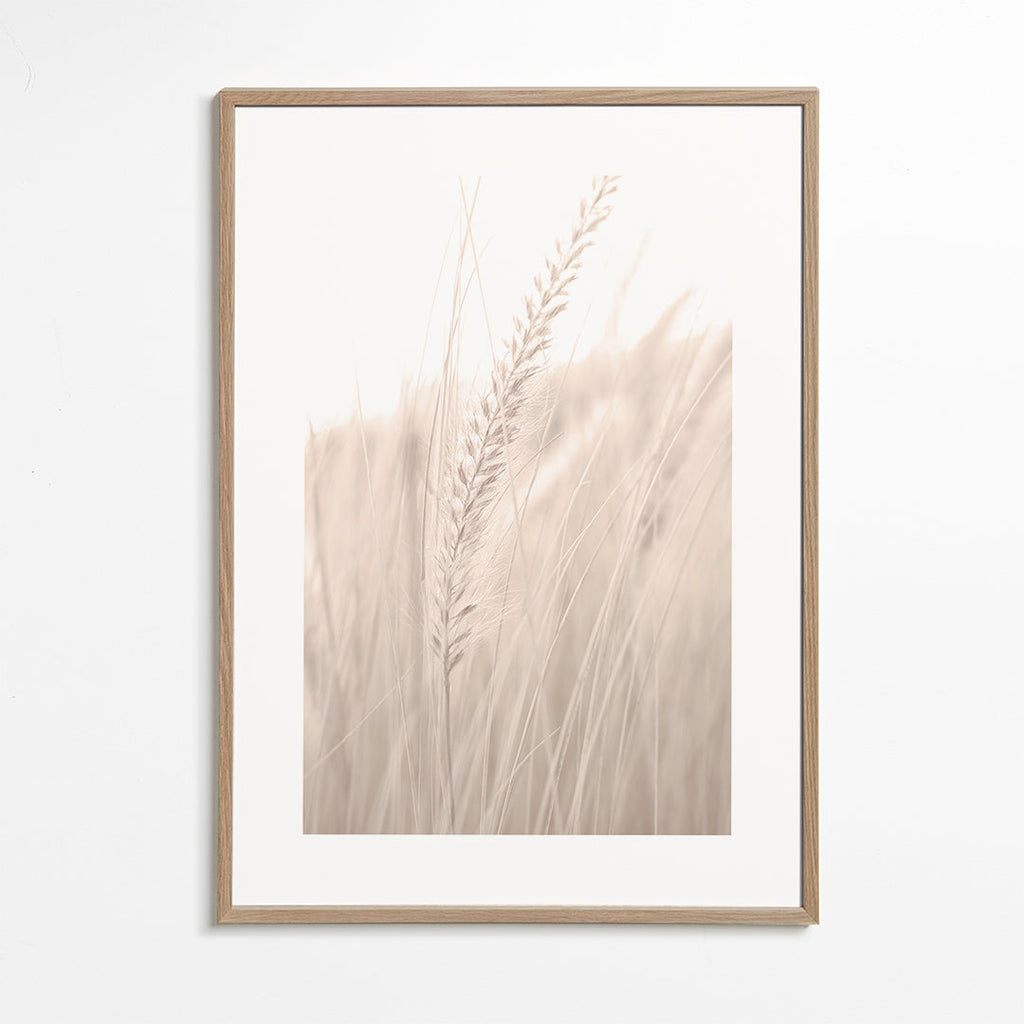 Botanisk plakat: strå i blide nuancer