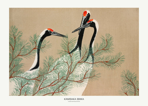 Kunst japanske traner blandt fyrregrene