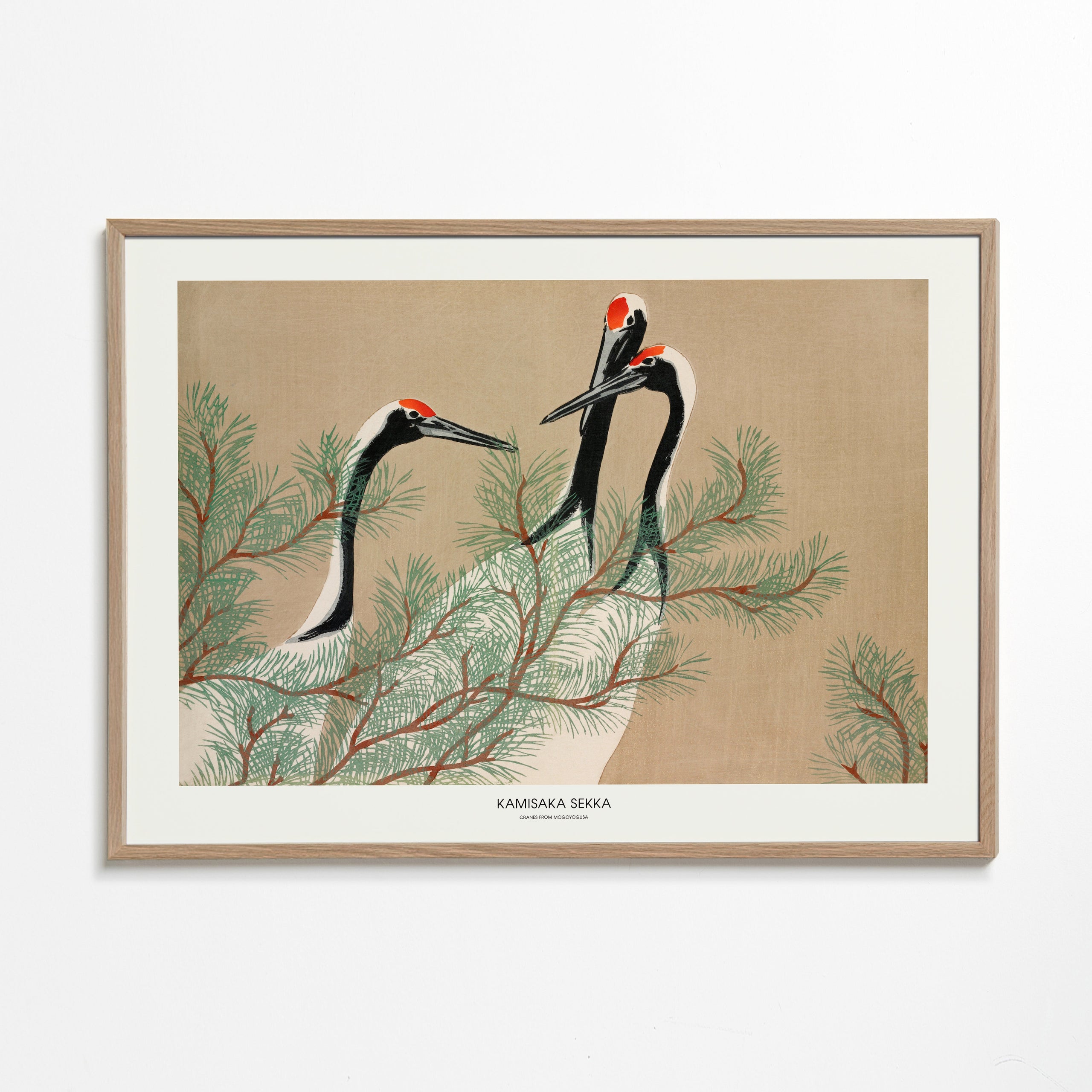 Kunst japanske traner blandt fyrregrene