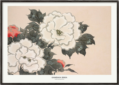 Botanisk plakat: japansk blomsterstudie