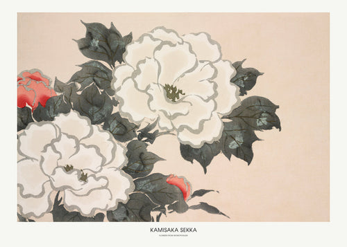 Botanisk plakat: japansk blomsterstudie