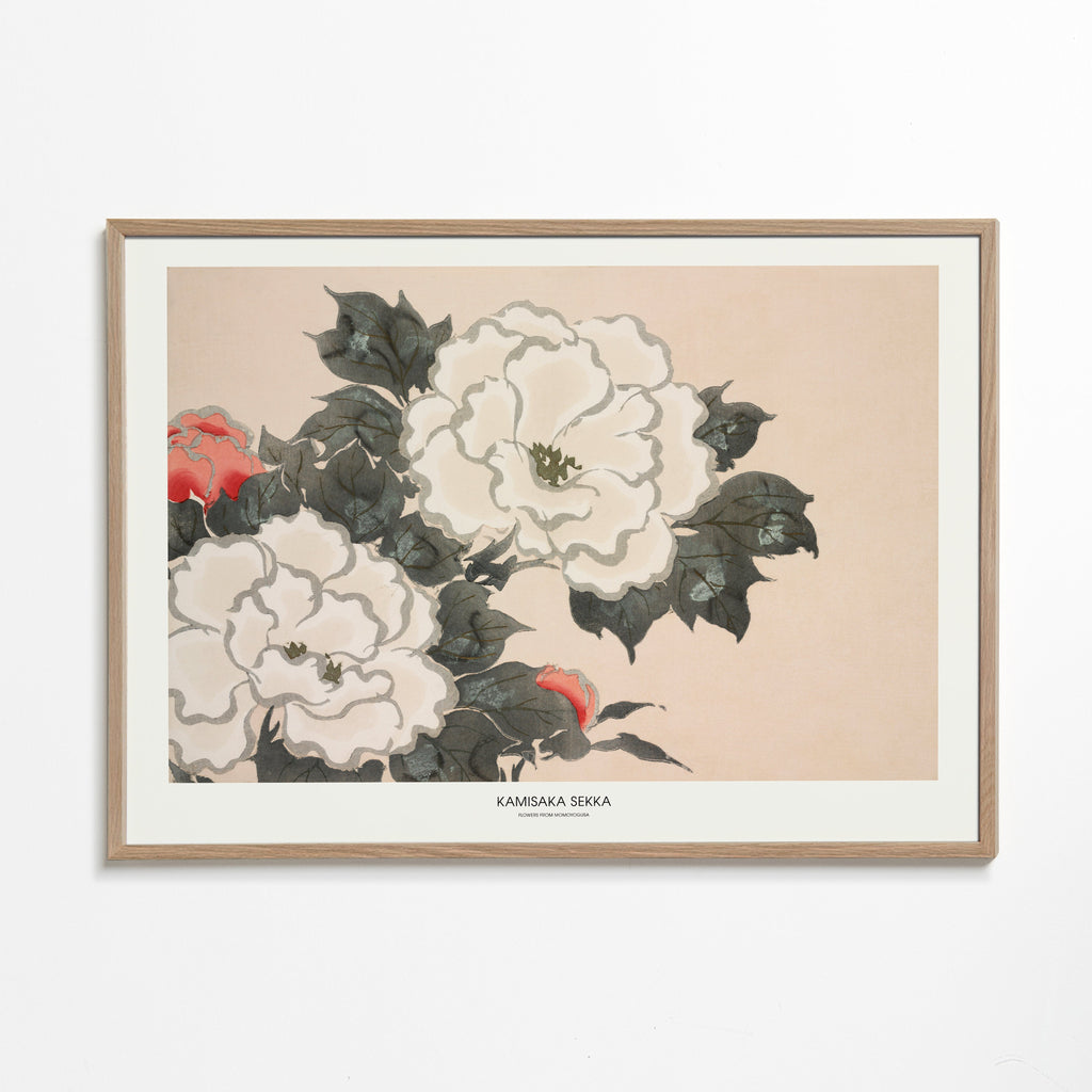 Botanisk plakat: japansk blomsterstudie